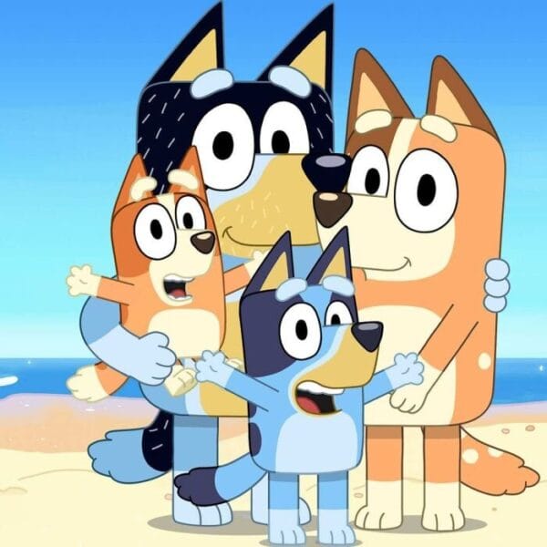 Bluey Kakformar